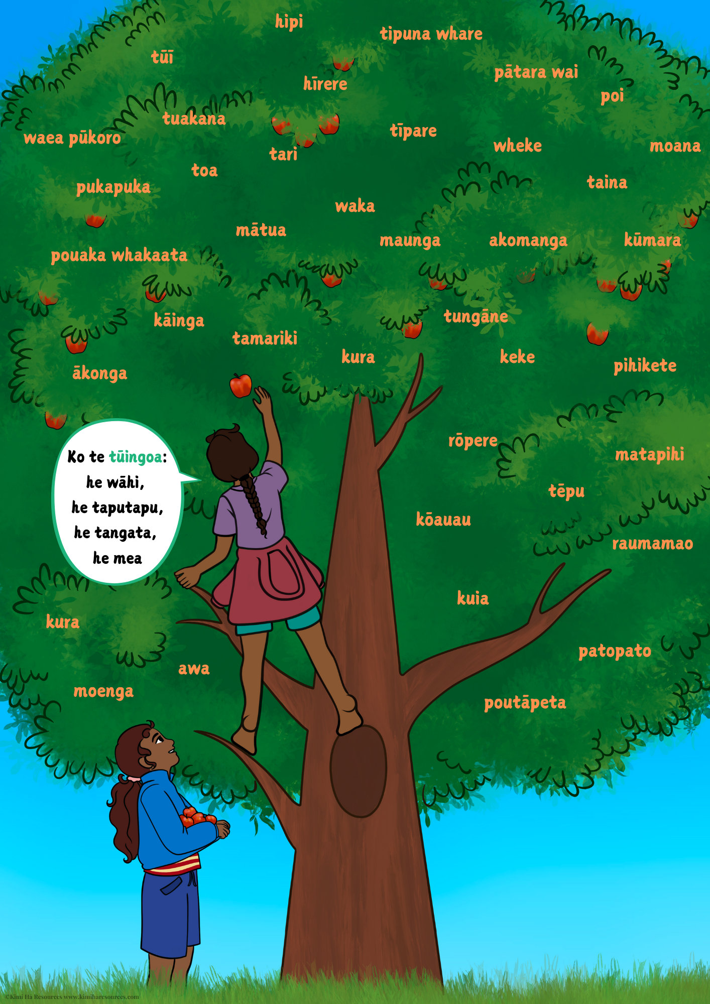 Pānui Whakaahua(Poster)-Tūingoa/Nouns